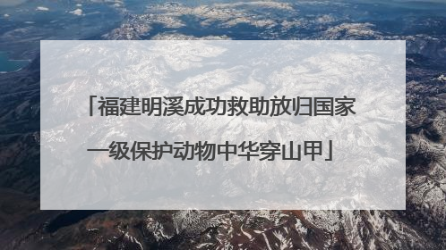 福建明溪成功救助放归国家一级保护动物中华穿山甲