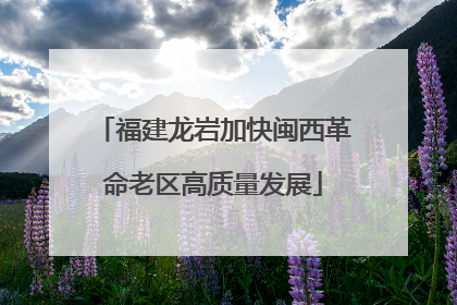 福建龙岩加快闽西革命老区高质量发展