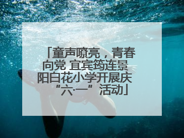 童声嘹亮，青春向党 宜宾筠连景阳白花小学开展庆“六·一”活动