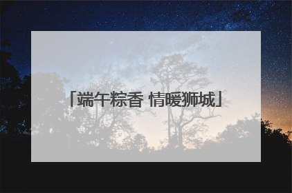 端午粽香 情暖狮城