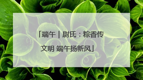 端午｜尉氏：粽香传文明 端午扬新风