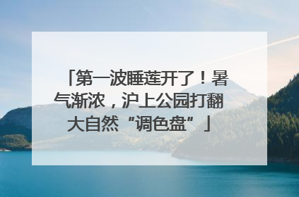 第一波睡莲开了！暑气渐浓，沪上公园打翻大自然“调色盘”