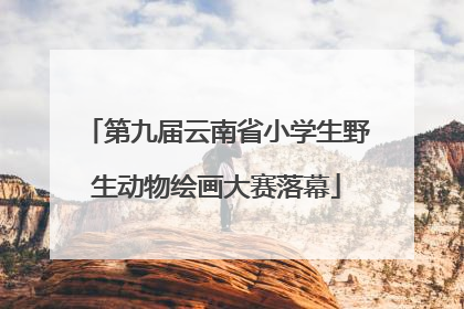 第九届云南省小学生野生动物绘画大赛落幕