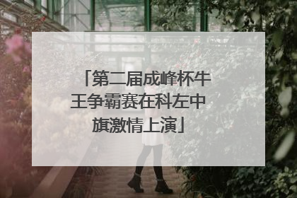 第二届成峰杯牛王争霸赛在科左中旗激情上演