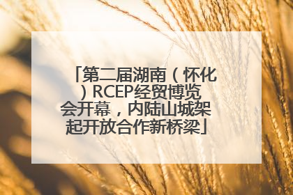 第二届湖南（怀化）RCEP经贸博览会开幕，内陆山城架起开放合作新桥梁