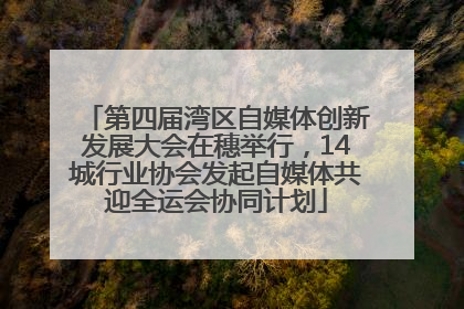 第四届湾区自媒体创新发展大会在穗举行，14城行业协会发起自媒体共迎全运会协同计划