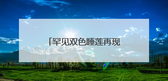 罕见双色睡莲再现济南大明湖，网友直呼“好运莲莲”