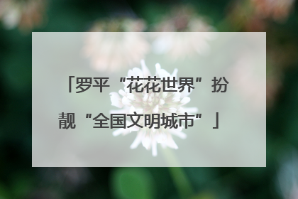 罗平“花花世界”扮靓“全国文明城市”