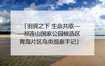 羽翼之下 生命共歌——祁连山国家公园候选区青海片区鸟类观察手记