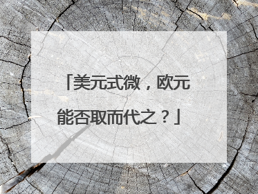 美元式微，欧元能否取而代之？