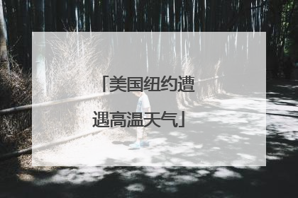 美国纽约遭遇高温天气