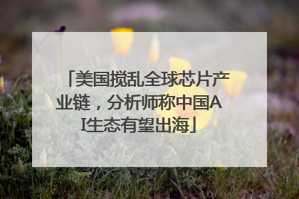 美国搅乱全球芯片产业链，分析师称中国AI生态有望出海