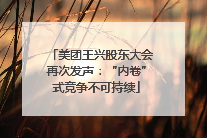 美团王兴股东大会再次发声：“内卷”式竞争不可持续