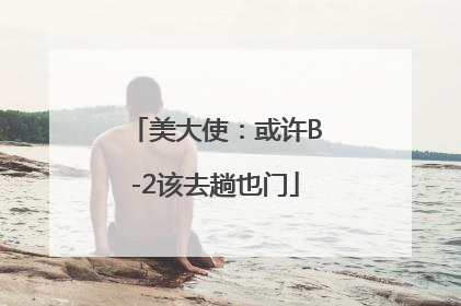 美大使：或许B-2该去趟也门