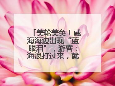美轮美奂！威海海边出现“蓝眼泪”，游客：海浪打过来，就像星河一样