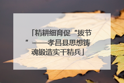 精耕细育促“拔节”——孝昌县思想铸魂锻造实干精兵