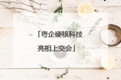 粤企硬核科技亮相上交会