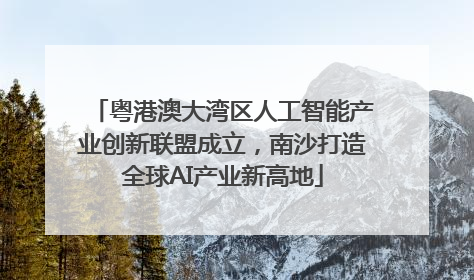 粤港澳大湾区人工智能产业创新联盟成立，南沙打造全球AI产业新高地