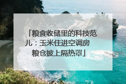 粮食收储里的科技范儿：玉米住进空调房 粮仓披上隔热罩