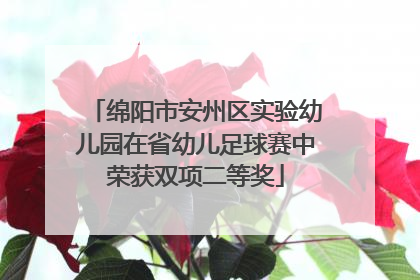 绵阳市安州区实验幼儿园在省幼儿足球赛中荣获双项二等奖