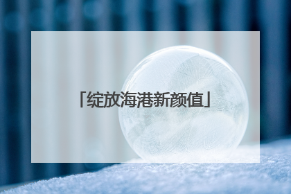 绽放海港新颜值