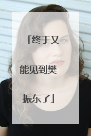 终于又能见到樊振东了
