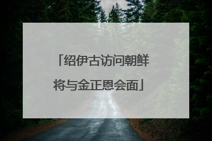 绍伊古访问朝鲜 将与金正恩会面