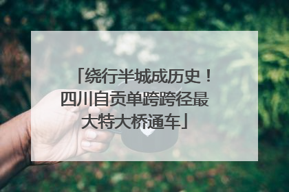 绕行半城成历史！四川自贡单跨跨径最大特大桥通车