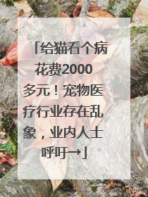 给猫看个病花费2000多元！宠物医疗行业存在乱象，业内人士呼吁→