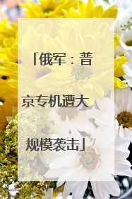 俄军：普京专机遭大规模袭击