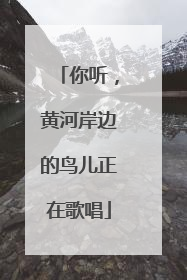 你听，黄河岸边的鸟儿正在歌唱