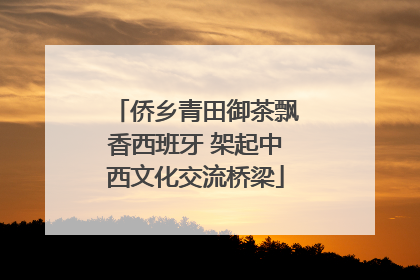 侨乡青田御茶飘香西班牙 架起中西文化交流桥梁