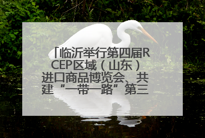 临沂举行第四届RCEP区域（山东）进口商品博览会、共建“一带一路”第三届临沂商城国际采购商大会新闻发布会