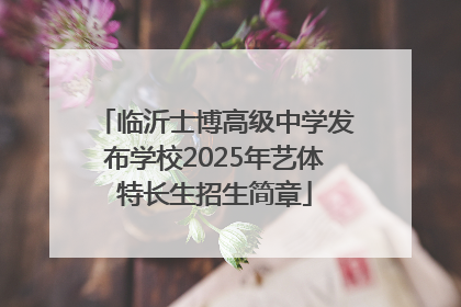 临沂士博高级中学发布学校2025年艺体特长生招生简章