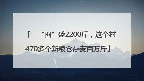 一“囤”盛2200斤，这个村470多个新粮仓存麦百万斤