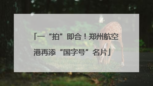 一“拍”即合！郑州航空港再添“国字号”名片