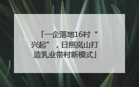 一企落地16村“兴起”，日照岚山打造乳业带村新模式