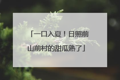 一口入夏！日照前山前村的甜瓜熟了