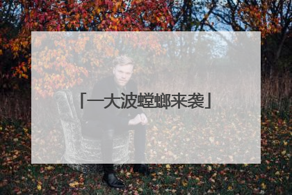 一大波螳螂来袭