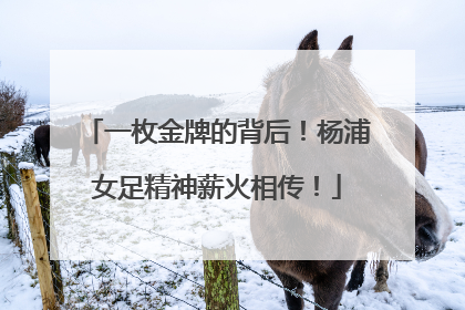 一枚金牌的背后！杨浦女足精神薪火相传！
