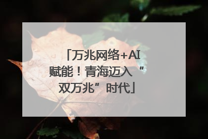 万兆网络+AI赋能！青海迈入“双万兆”时代
