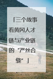 三个故事看黄冈人才链与产业链的“严丝合缝”