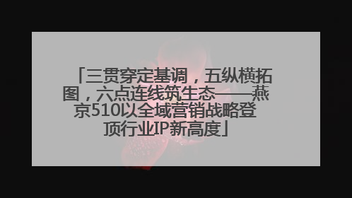 三贯穿定基调，五纵横拓图，六点连线筑生态——燕京510以全域营销战略登顶行业IP新高度