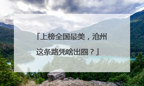 上榜全国最美，沧州这条路凭啥出圈？