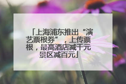 上海浦东推出“演艺票根券”，上传票根，最高酒店减千元景区减百元