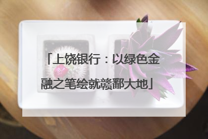 上饶银行：以绿色金融之笔绘就赣鄱大地