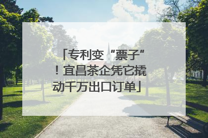 专利变“票子”！宜昌茶企凭它撬动千万出口订单