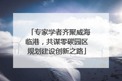 专家学者齐聚威海临港，共谋零碳园区规划建设创新之路