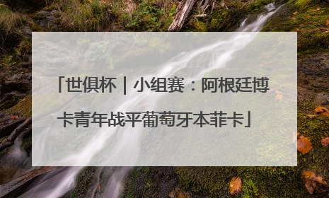 世俱杯｜小组赛：阿根廷博卡青年战平葡萄牙本菲卡