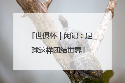 世俱杯｜闲记：足球这样团结世界